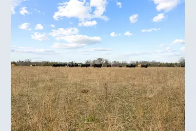 Tract 3 County Road 1255, Savoy, TX 75479 - Photo 10