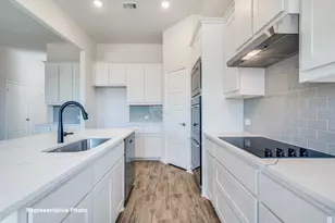 325 Skeen Peak, Springtown, TX 76082 - Photo 10