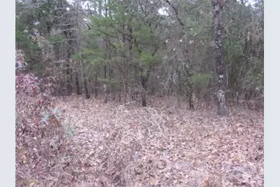 000 Briar Valley, Murchison, TX 75778 - Photo 4