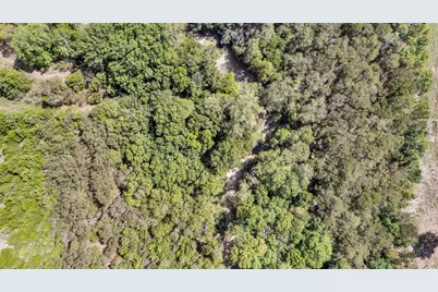 124 Summerall Lane, Red Oak, TX 75154 - Photo 10