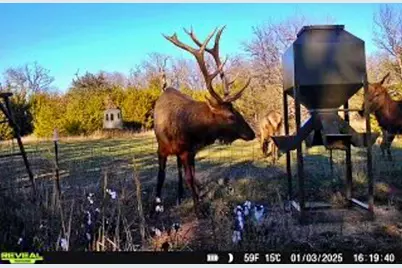 000 N3840 Road, McAlester, OK 74538 - Photo 6