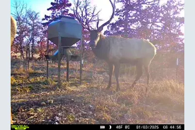 000 N3840 Road, McAlester, OK 74538 - Photo 24