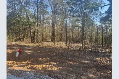 Lot 35 Reflection Bay Boulevard, Gordonville, TX 76245 - Photo 1