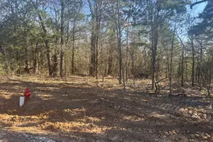 Lot 35 Reflection Bay Blvd, Gordonville, TX 76245 - Photo 1