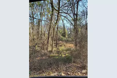 0 Wood Lane, Mabank, TX 75156 - Photo 2