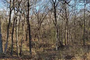 0 Wood Ln, Mabank, TX 75156 - Photo 1