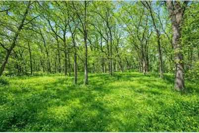 1029 Fm 2114, Aquilla, TX 76622 - Photo 6