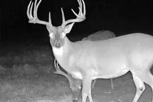 Tbd Cr 2737, Naples, TX 75568 - Photo 34