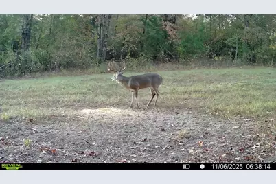 Tbd Cr 2737, Naples, TX 75568 - Photo 8