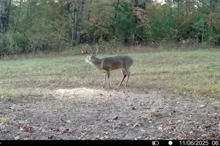 Tbd Cr 2737, Naples, TX 75568 - Photo 8