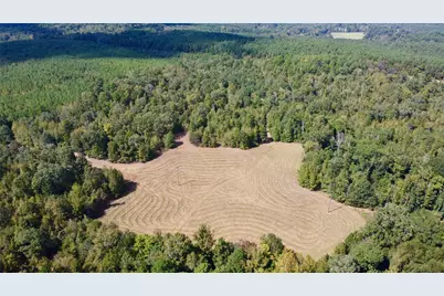 Tbd Cr 2737, Naples, TX 75568 - Photo 24