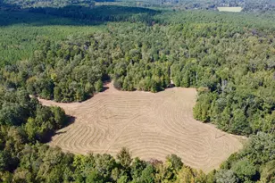 Tbd Cr 2737, Naples, TX 75568 - Photo 24