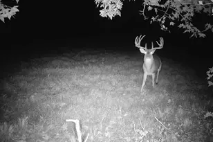 Tbd Cr 2737, Naples, TX 75568 - Photo 12