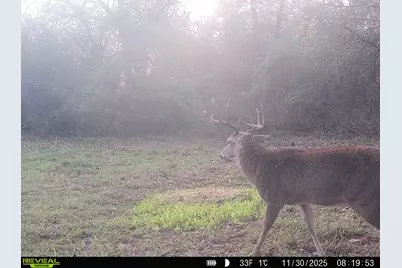 Tbd Cr 2737, Naples, TX 75568 - Photo 14