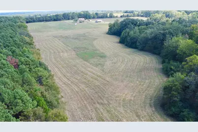 Tbd Cr 2737, Naples, TX 75568 - Photo 4