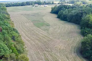 Tbd Cr 2737, Naples, TX 75568 - Photo 4