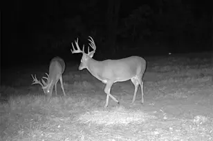 Tbd Cr 2737, Naples, TX 75568 - Photo 32