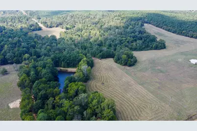 Tbd Cr 2737, Naples, TX 75568 - Photo 26