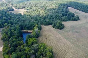 Tbd Cr 2737, Naples, TX 75568 - Photo 26