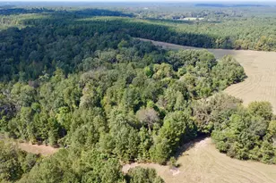 Tbd Cr 2737, Naples, TX 75568 - Photo 22