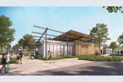 4413 Cotton Seed Way, Celina, TX 75078 - Photo 8