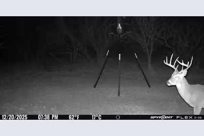 4435 County Road 120, Gordon, TX 76453 - Photo 16