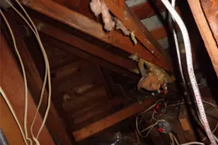 506 S 3rd St, Grandview, TX 76050 - Photo 22