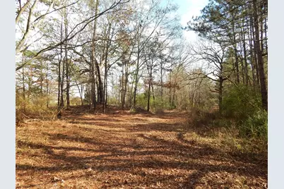 197 Cr 4130D, Overton, TX 75684 - Photo 36