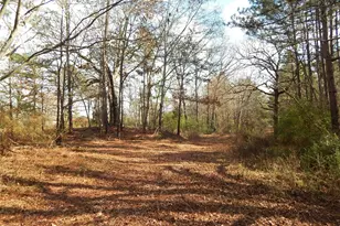 197 Cr 4130D, Overton, TX 75684 - Photo 36