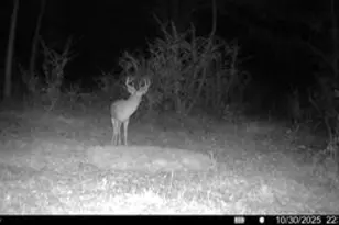 197 Cr 4130D, Overton, TX 75684 - Photo 38