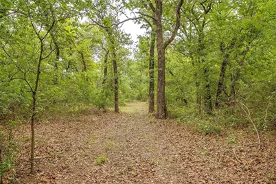 7 Ava Lane, Stephenville, TX 76401 - Photo 6