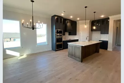 509 Lantana Drive, Weatherford, TX 76085 - Photo 4