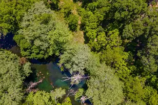 9130 Rebecca Creek Rd, Spring Branch, TX 78070 - Photo 38