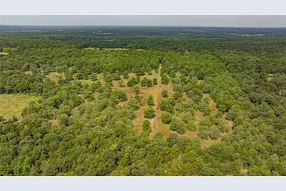 455 SE Cr 3350, Winnsboro, TX 75494 - Photo 32