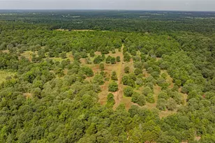 455 SE Cr 3350, Winnsboro, TX 75494 - Photo 32