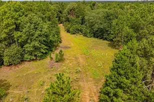 455 SE Cr 3350, Winnsboro, TX 75494 - Photo 34