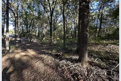 N/A Lot 59 County Road 2938, Pittsburg, TX 75686 - Photo 10