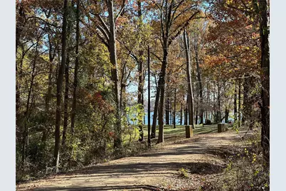 N/A Lot 59 County Road 2938, Pittsburg, TX 75686 - Photo 1