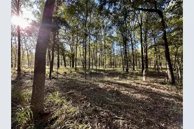 N/A Lot 59 County Road 2938, Pittsburg, TX 75686 - Photo 6