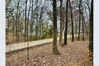 N/A Lot 59 County Road 2938, Pittsburg, TX 75686 - Photo 20