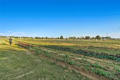 14116 Zealand Drive, Pilot Point, TX 76258 - Photo 8