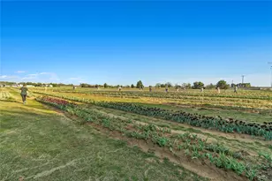 14116 Zealand Dr, Pilot Point, TX 76258 - Photo 8