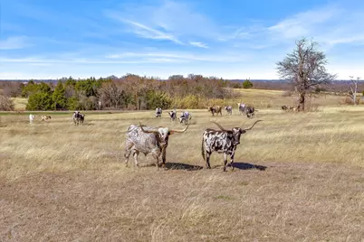 1840 E Fm 813, Palmer, TX 75152 - Photo 38