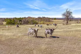 1840 E FM 813, Palmer, TX 75152 - Photo 38