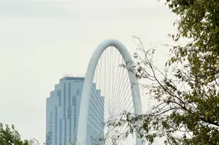 3119 Parvia Ave, Dallas, TX 75212 - Photo 26