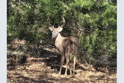 1159 Mikus Road, Weatherford, TX 76087 - Photo 1