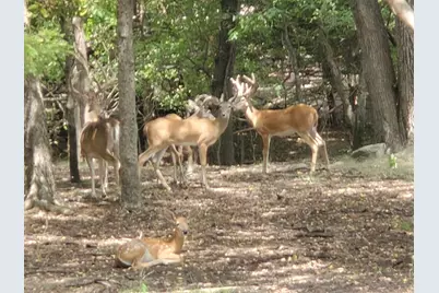 1159 Mikus Road, Weatherford, TX 76087 - Photo 4