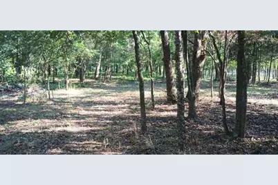 15713 County Road 4015, Mabank, TX 75147 - Photo 20