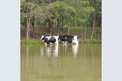 15713 County Road 4015, Mabank, TX 75147 - Photo 12