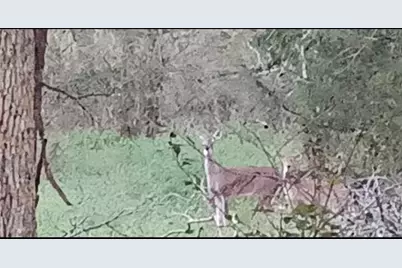 15713 County Road 4015, Mabank, TX 75147 - Photo 6